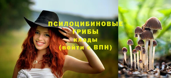 стаф Арсеньев