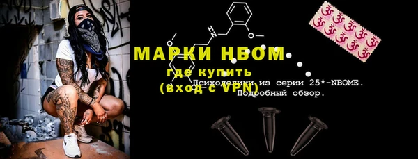 стаф Арсеньев