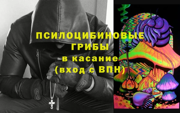 стаф Арсеньев