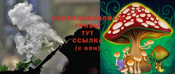 соль ск Аркадак