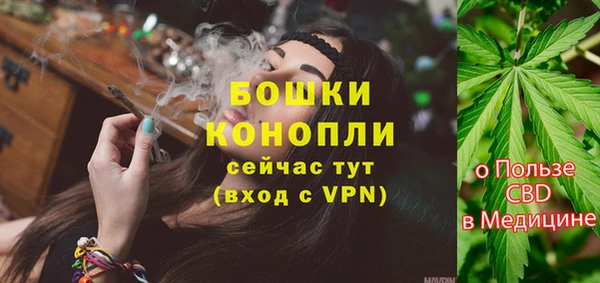 стаф Арсеньев