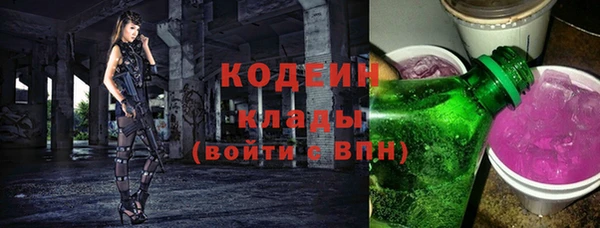 стаф Арсеньев