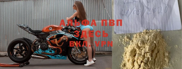 стаф Арсеньев